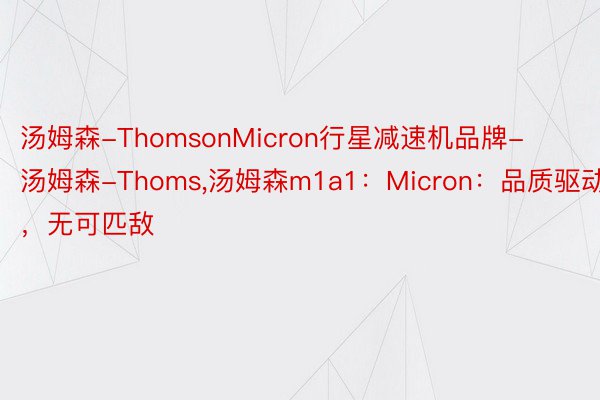 汤姆森-ThomsonMicron行星减速机品牌-汤姆森-Thoms，汤姆森m1a1：Micron：品质驱动，无可匹敌
