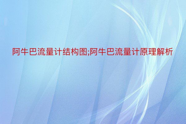 阿牛巴流量计结构图;阿牛巴流量计原理解析