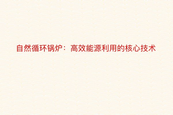 自然循环锅炉：高效能源利用的核心技术